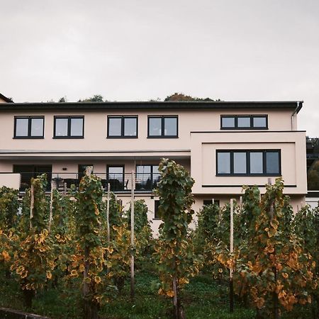 Weingut Meurer Daire Reil Dış mekan fotoğraf