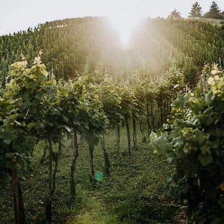 Weingut Meurer Daire Reil Dış mekan fotoğraf