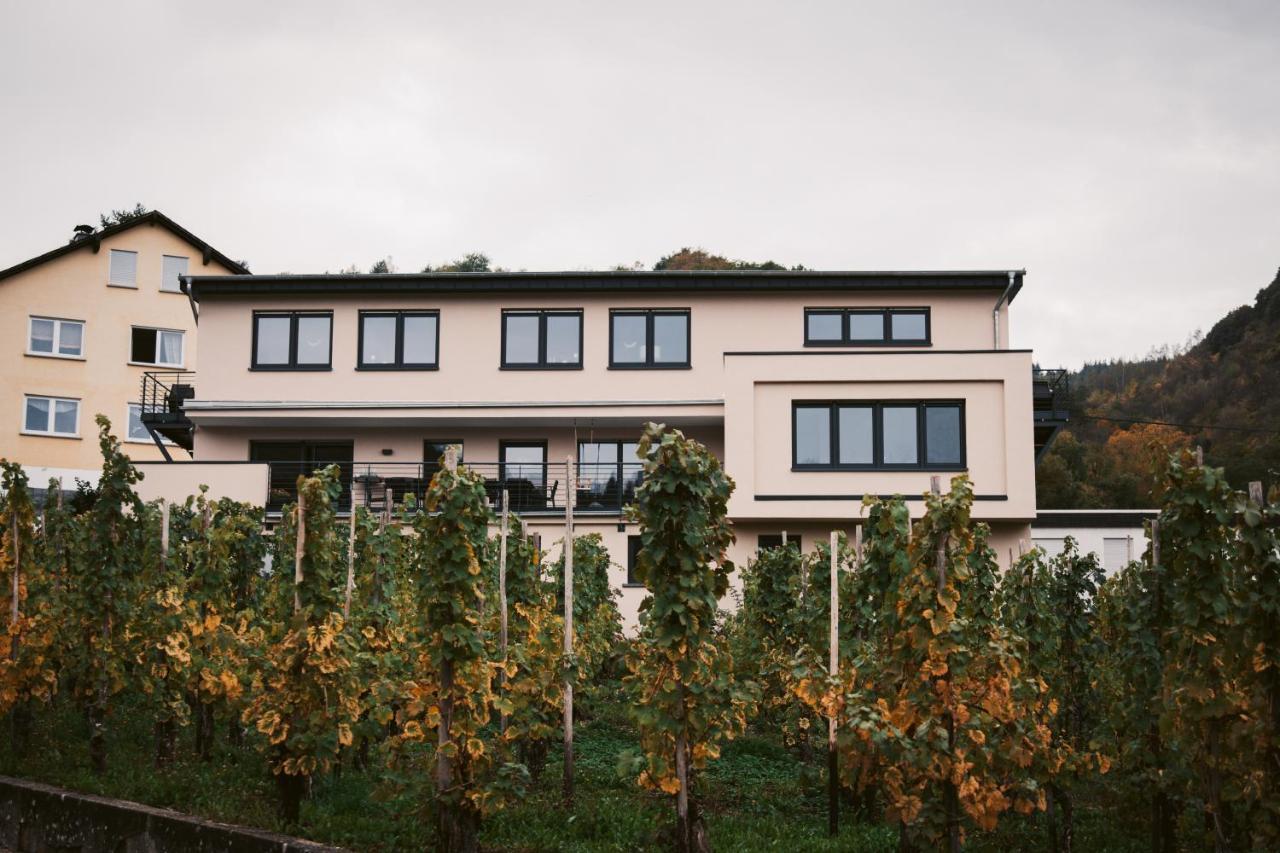 Weingut Meurer Daire Reil Dış mekan fotoğraf