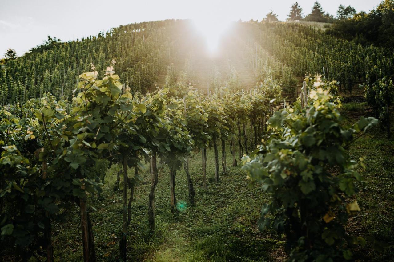 Weingut Meurer Daire Reil Dış mekan fotoğraf